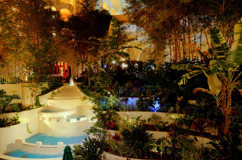 Eco-Friendly Options